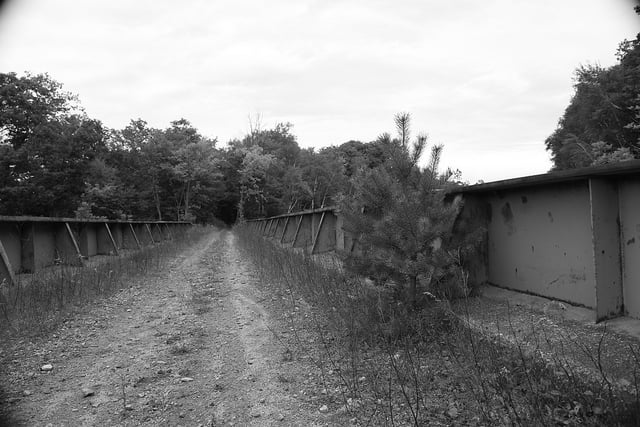Abandoned Overpass on US-20