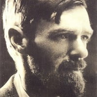 D.H.-Lawrence