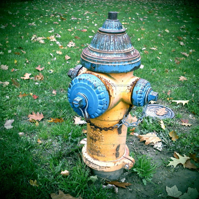 Yellow And Blue Fire Hydrant