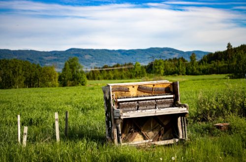 a broken piano on green grass field