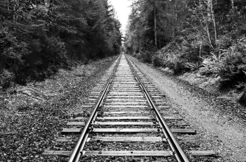 grayscale photography of railway surrounded by trees